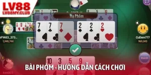 Bài Phỏm – Hướng Dẫn Cách Chơi Tất Tần Tật Từ A Đến Z